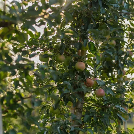 Uroczysko Nad Sauna & Balia بيت للعطل *