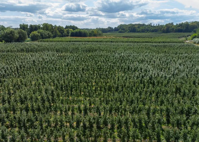 Uroczysko Nad Sauna & Balia * Pilica