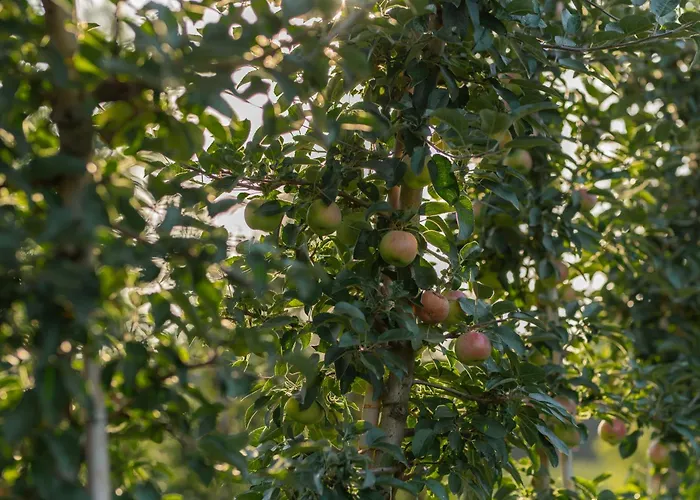 Uroczysko Nad Sauna & Balia בית נופש *